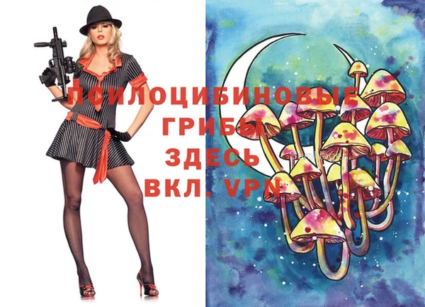 первитин Балахна