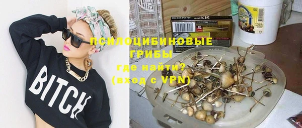 прущие грибы Белоозёрский