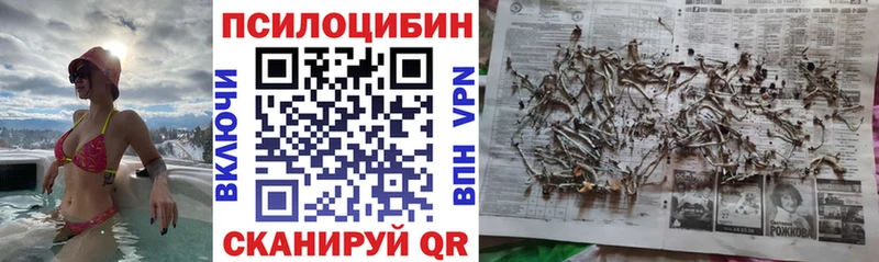 Псилоцибиновые грибы GOLDEN TEACHER  где можно купить наркотик  Усолье 